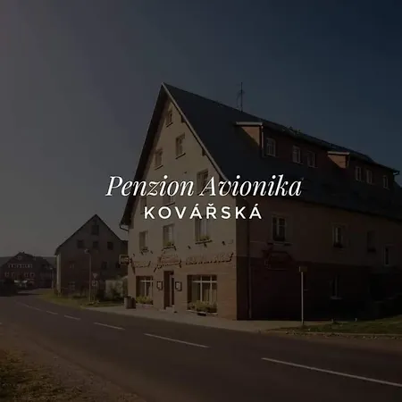 Penzion Restaurant & Avionika 3*